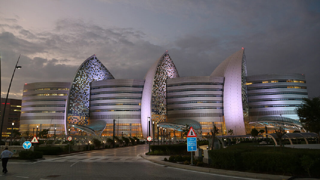 From a board role to a CEO: Dr. Iyabo Tinubu-Karch’s seemingly effortless transition